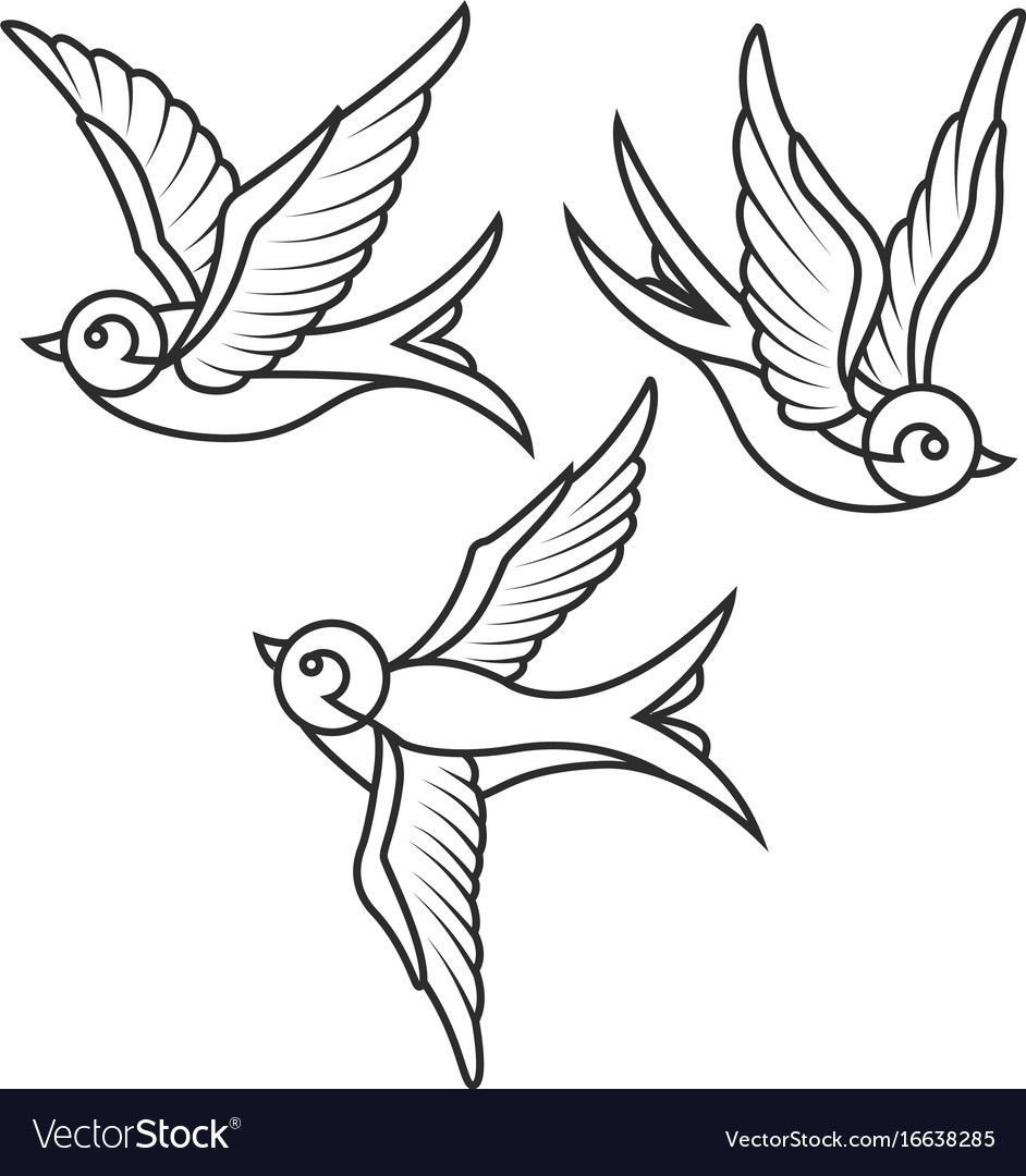 Ласточка раскраска на прозрачном фоне
