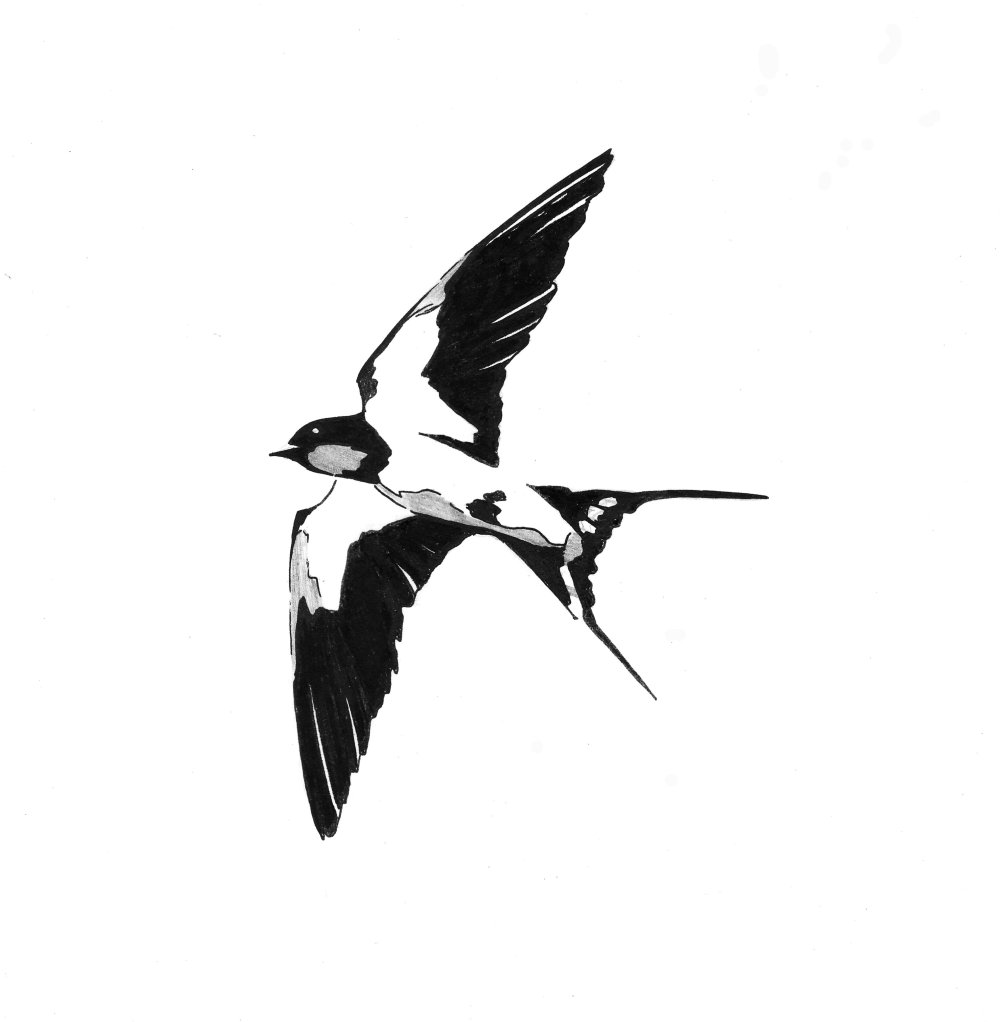 Ласточка абстракция