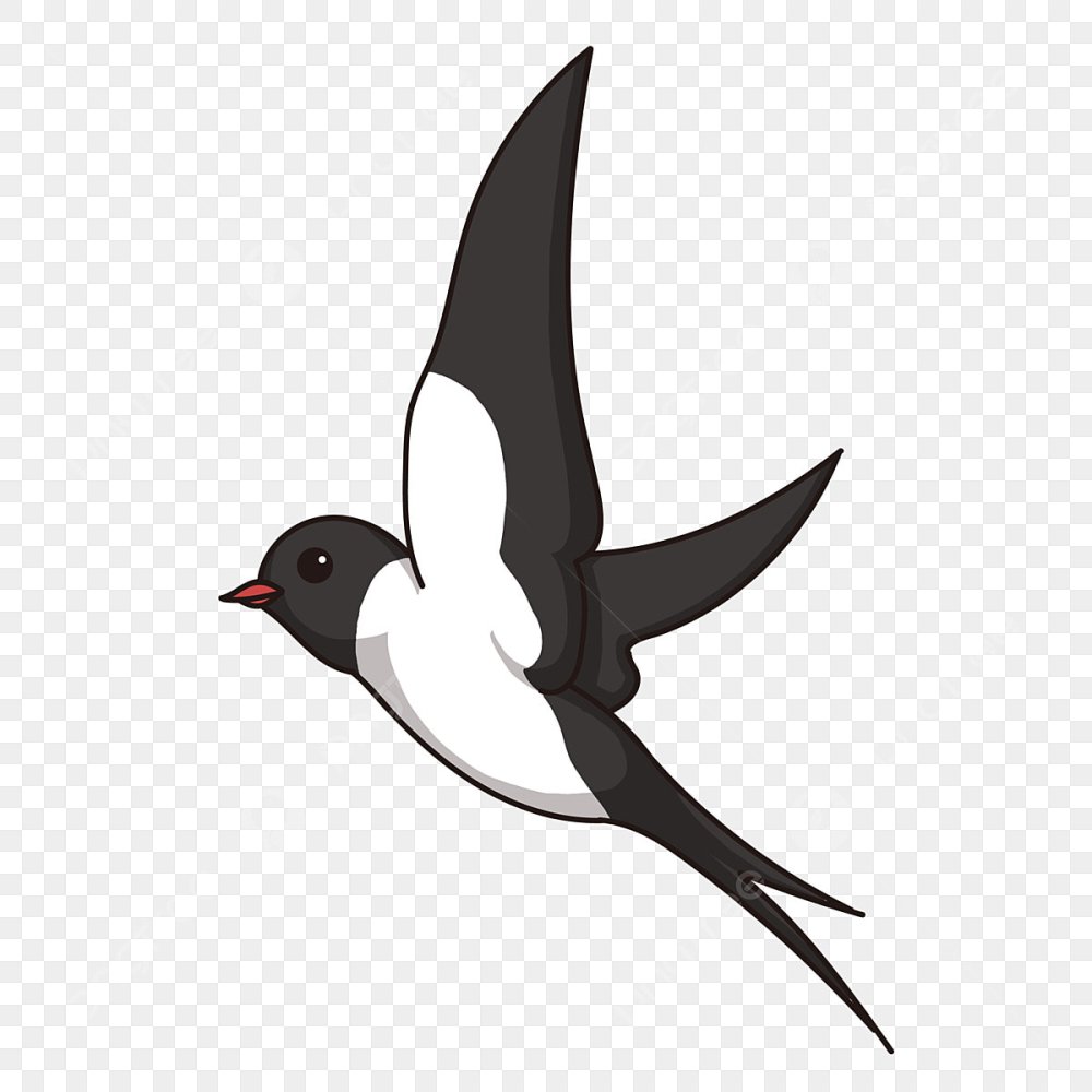 Иллюстрации с ласточкой в небе