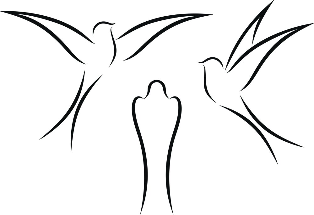 Ласточка на белом фоне карандаш