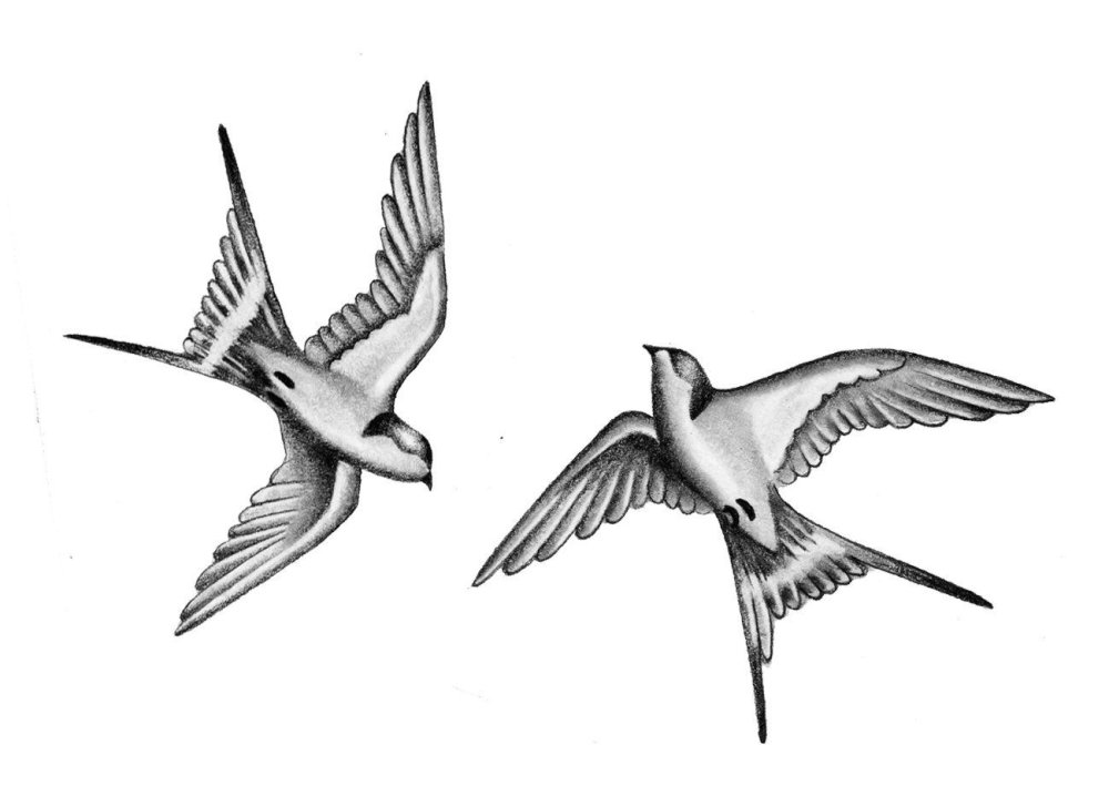 Ласточка мульт