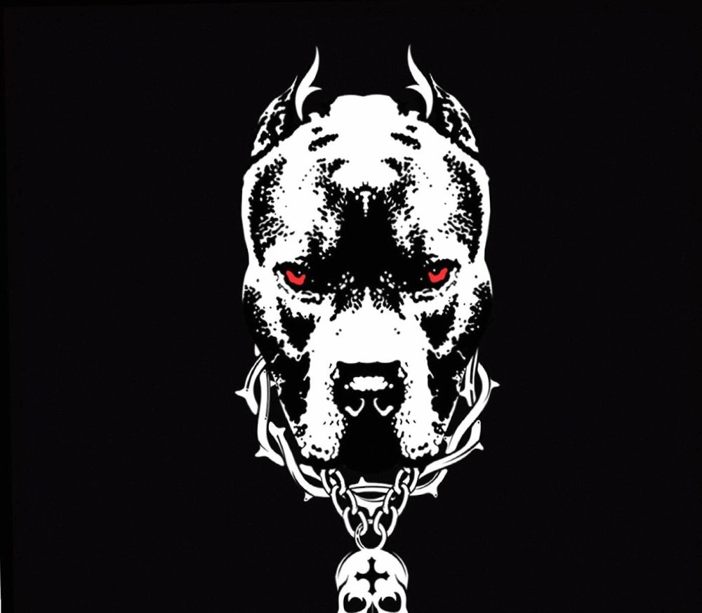 Питбуль черно белый