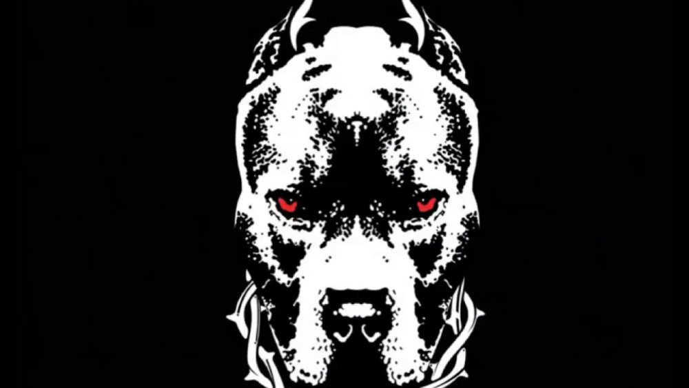 Питбуль смотра перевернуть картинку