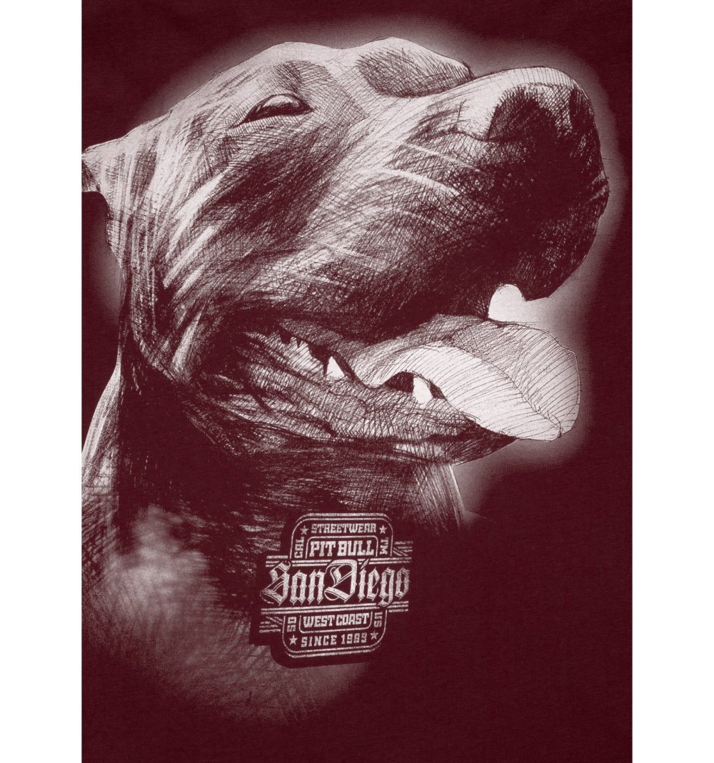 Доберман на черном фоне