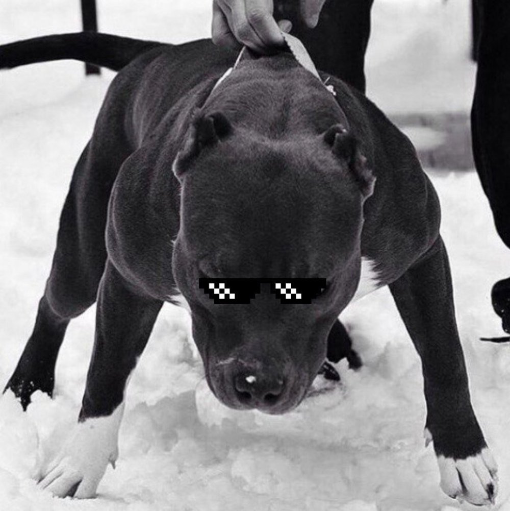 Стафф черно белый