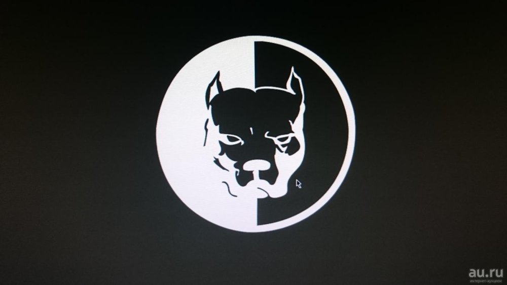 Американский питбультерьер злой