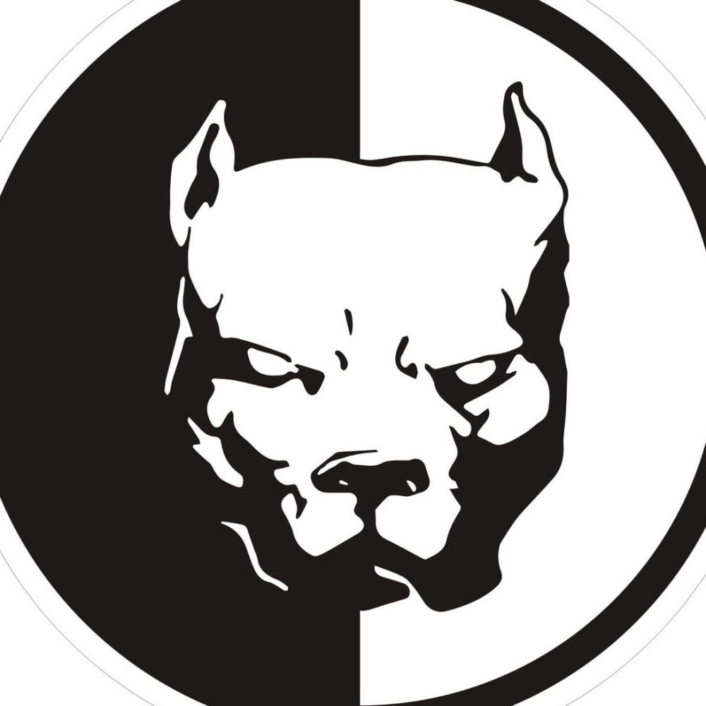 Чисто черный Доберман