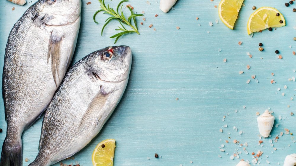 Морепродукты на бирюзовом фоне