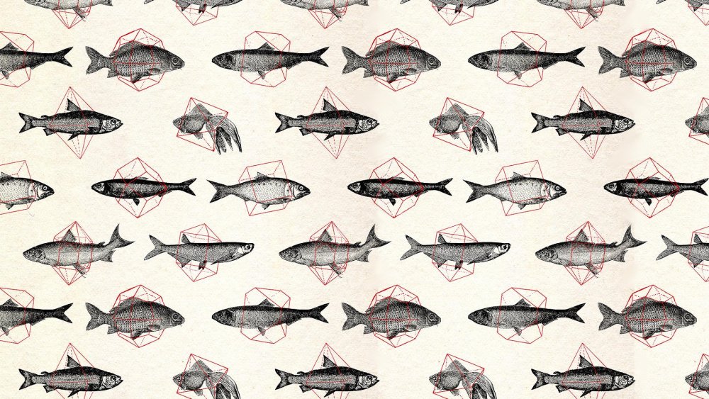 Рыбки арт Минимализм