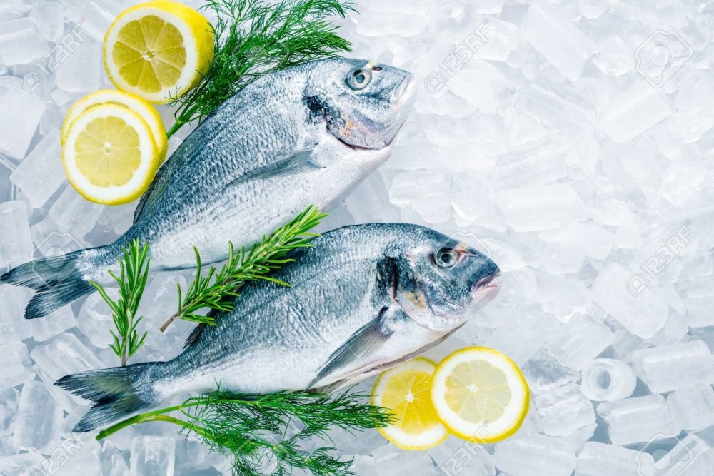 Бэкграунд морепродукты