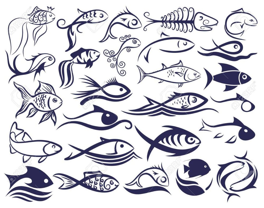 Морепродукты вид сверху