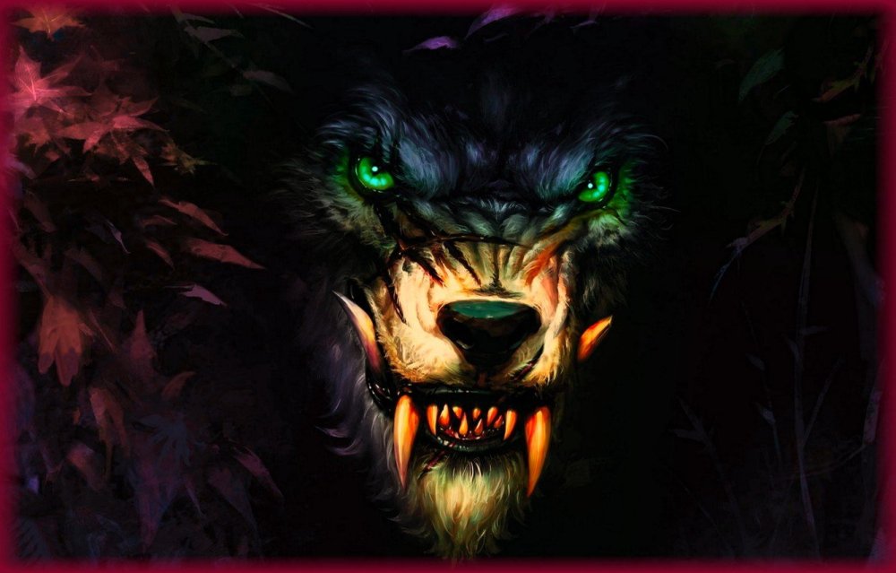 Черный волк ночью