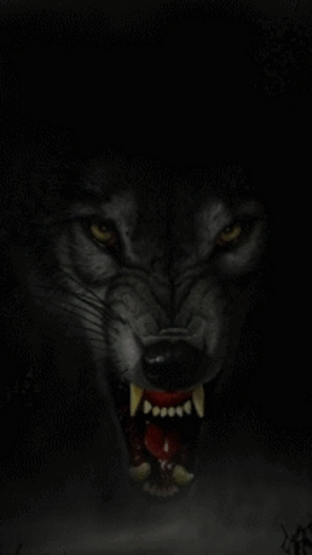 Канадский волк оскал