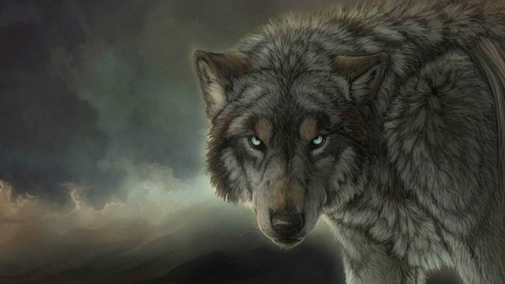 Волк оборотень