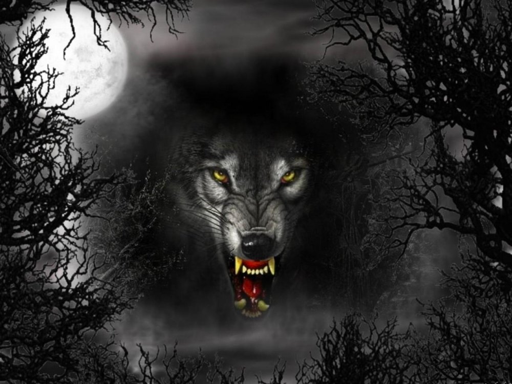 Морда злого волка