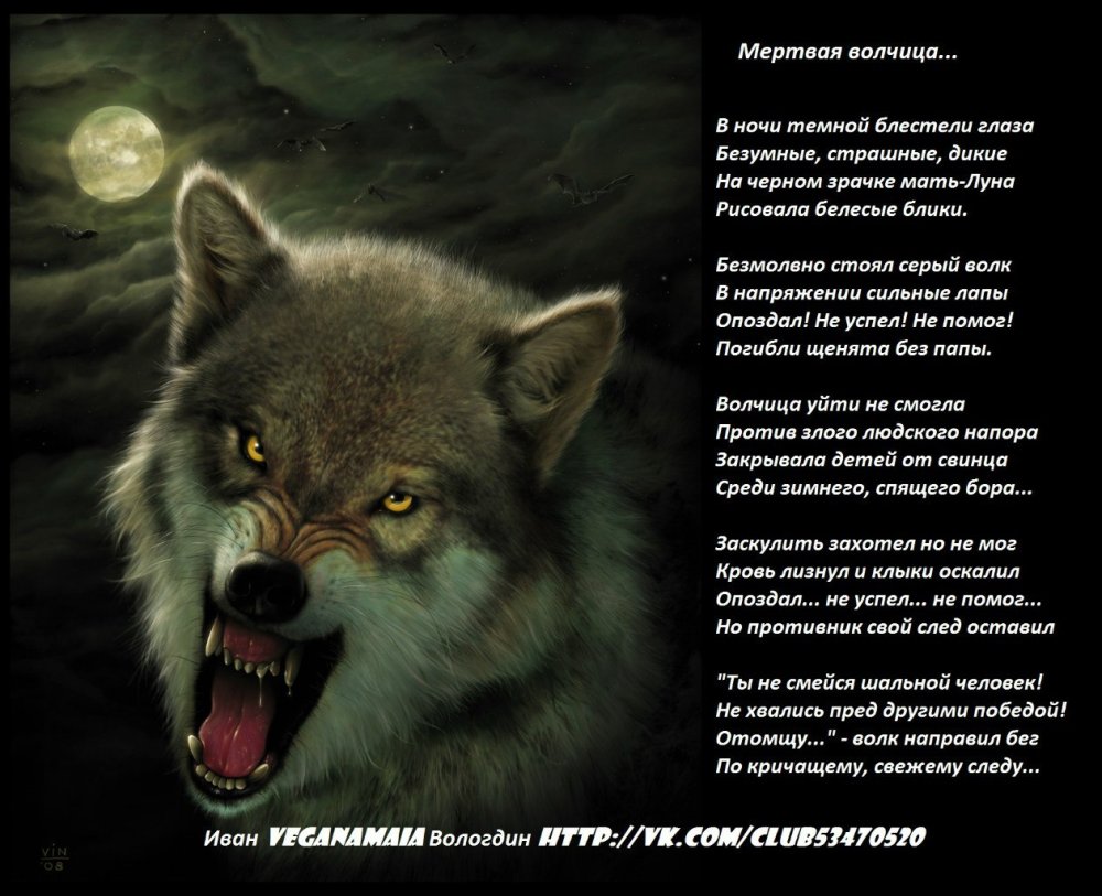 Волкособы оскал