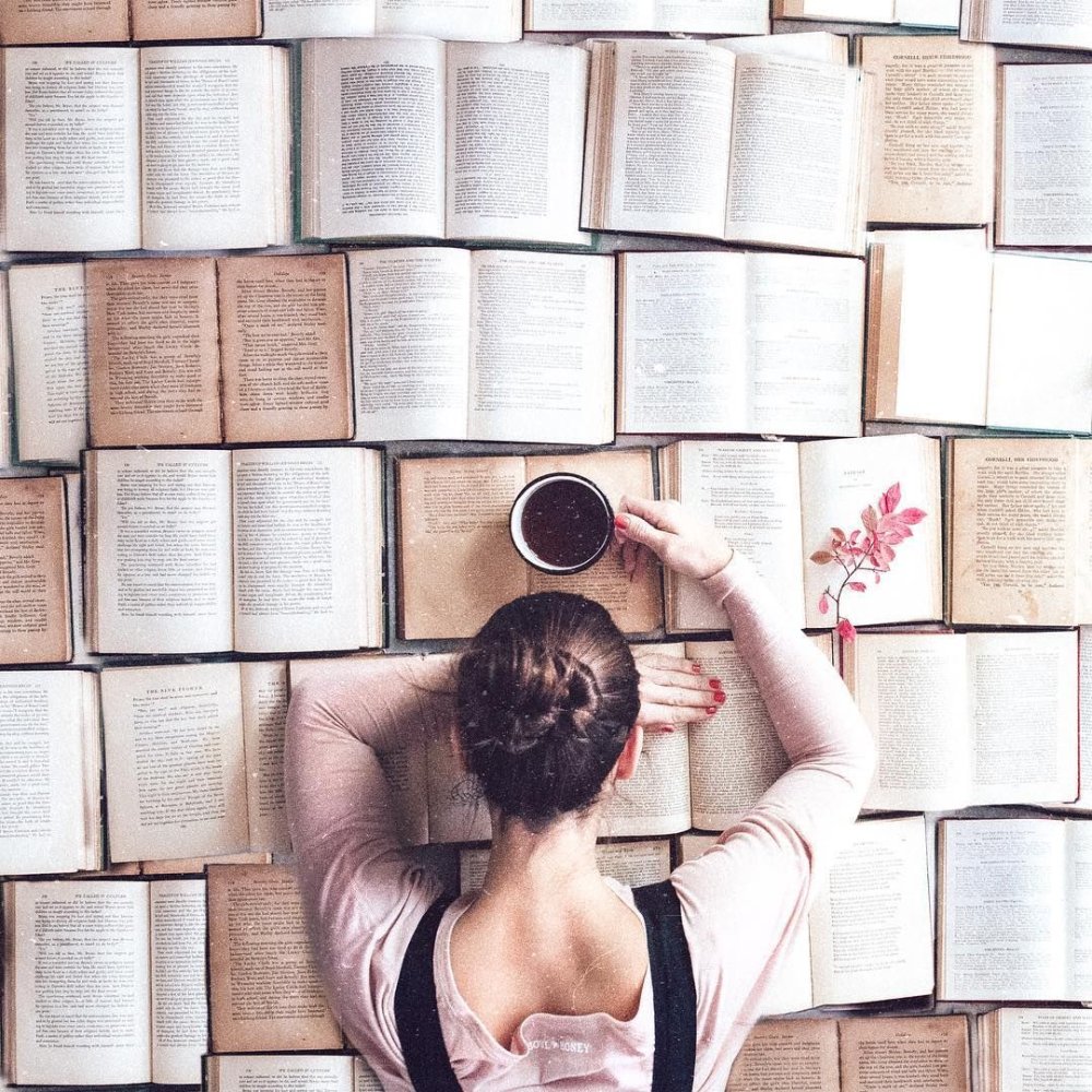 Дисциплина цитаты