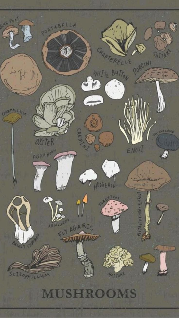 Механизм Минимализм