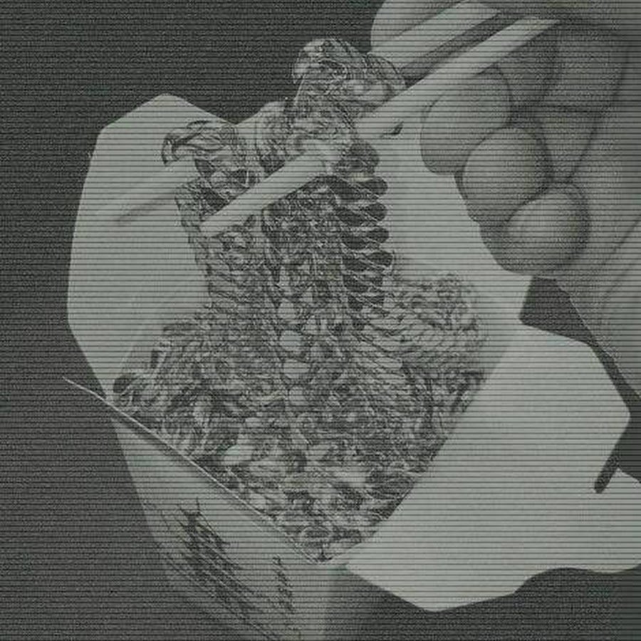 Goblincore Эстетика мухоморы