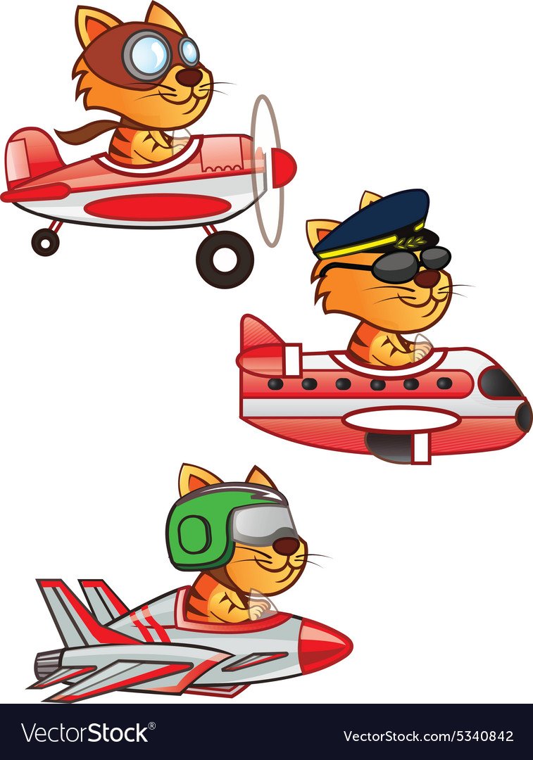 Кот в самолете