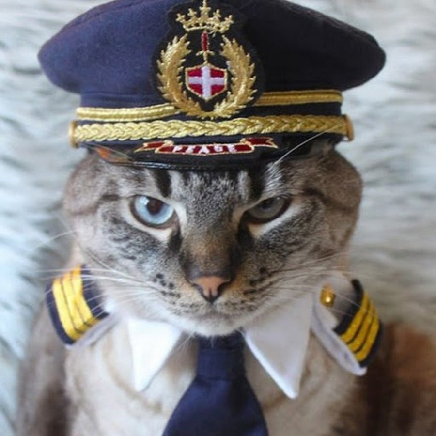 Фурри пилот