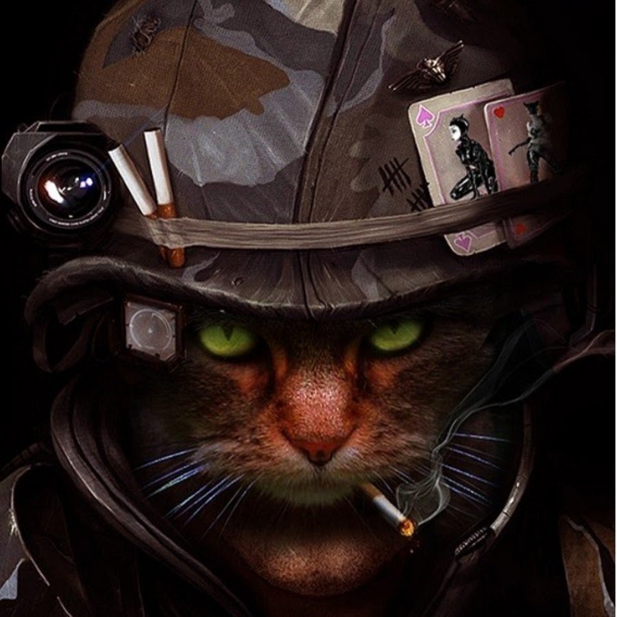 Кот в шлеме летчика