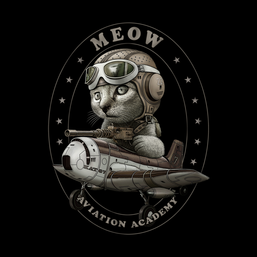 Кот в космосе 2017