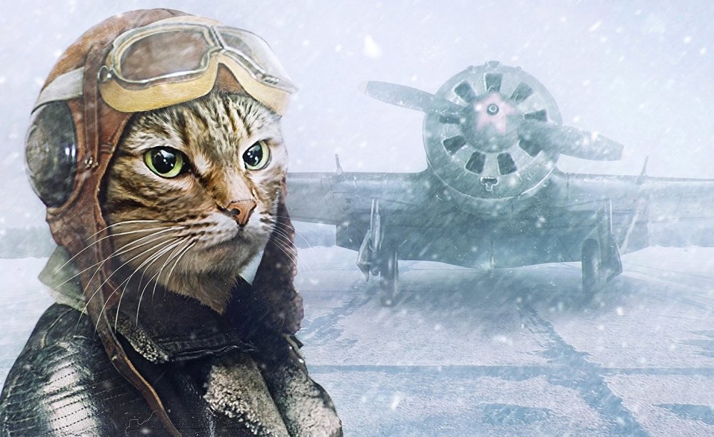 Сергей Шулдеев