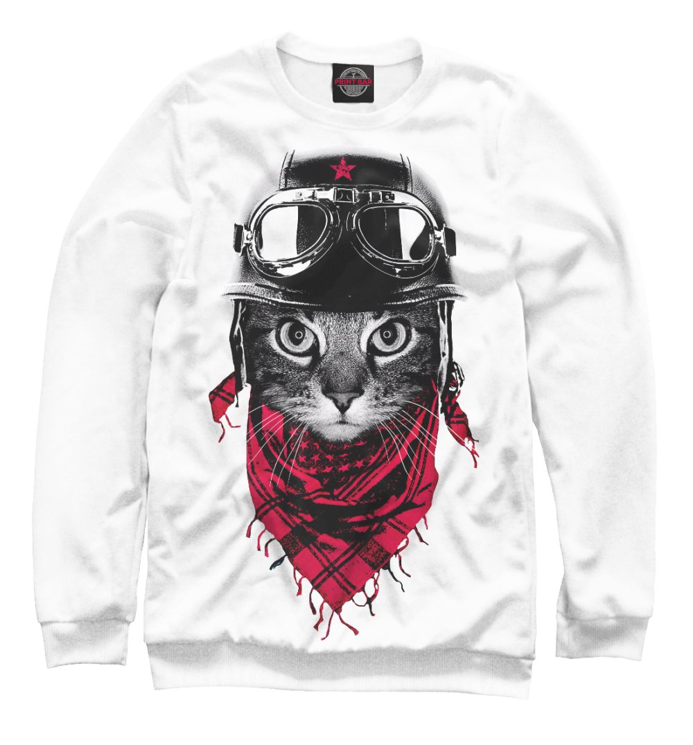 Кот в каске