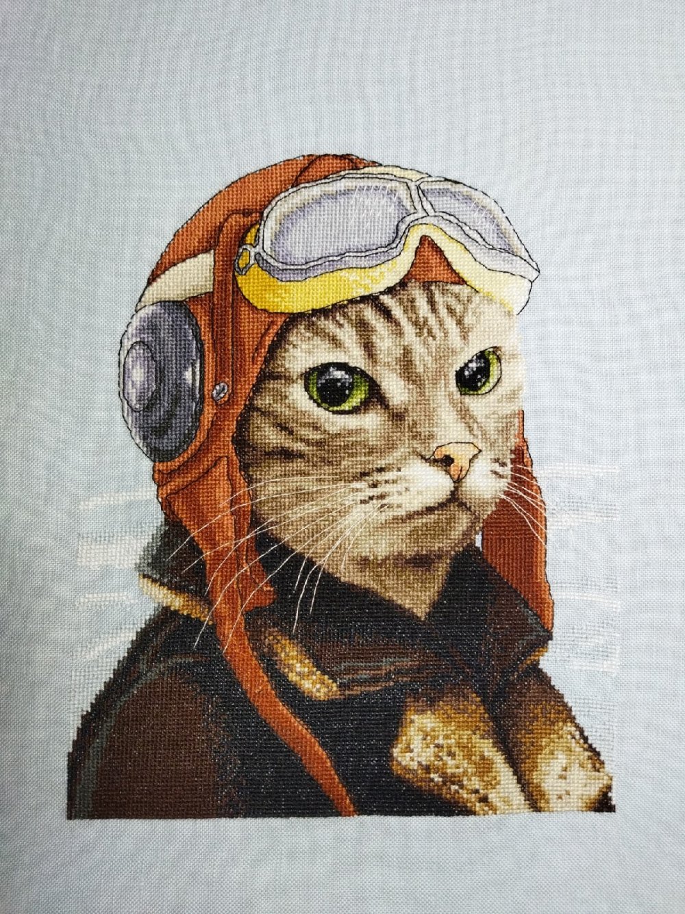 Кот в скафандре в космосе