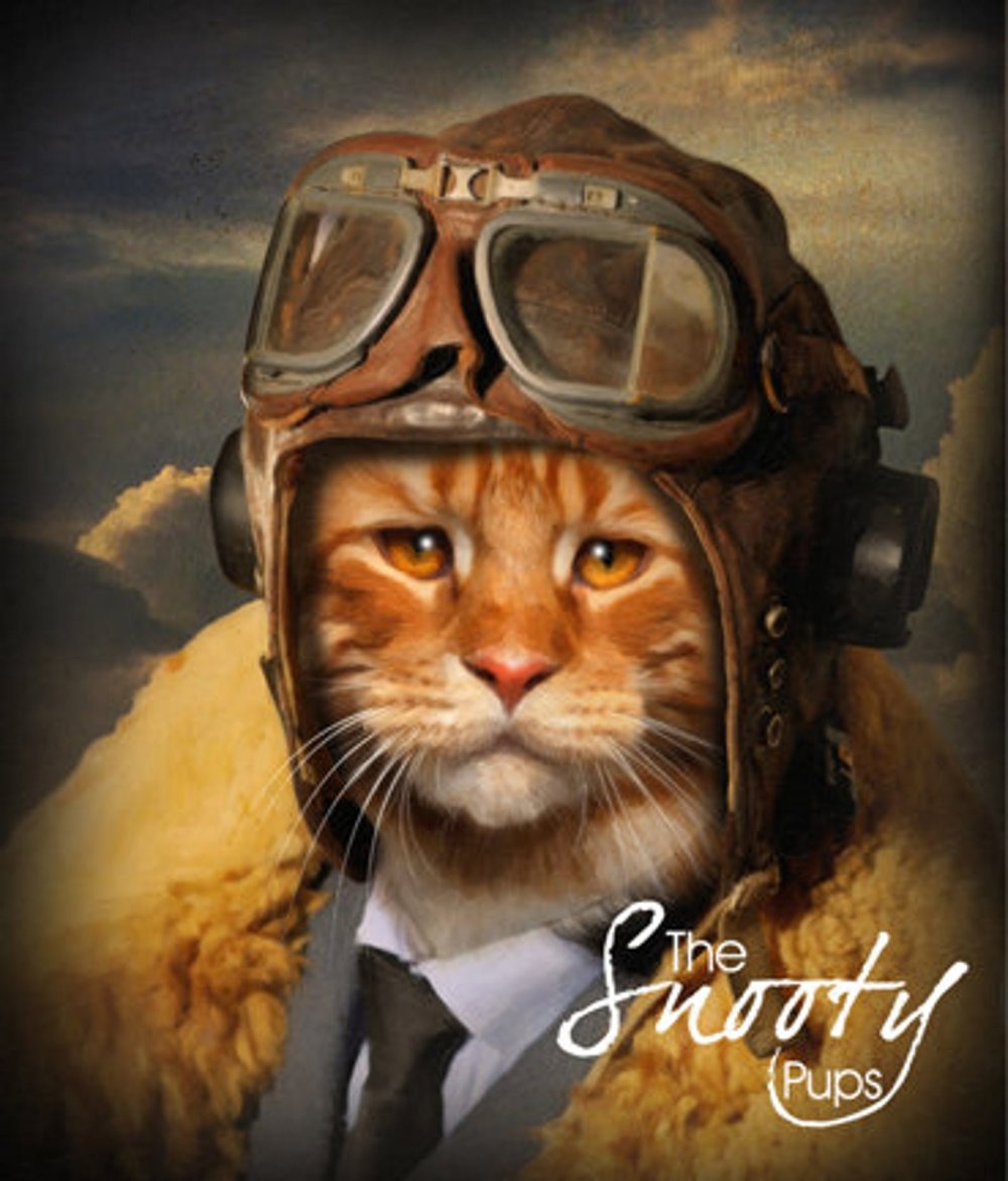 Кот космонавт фото