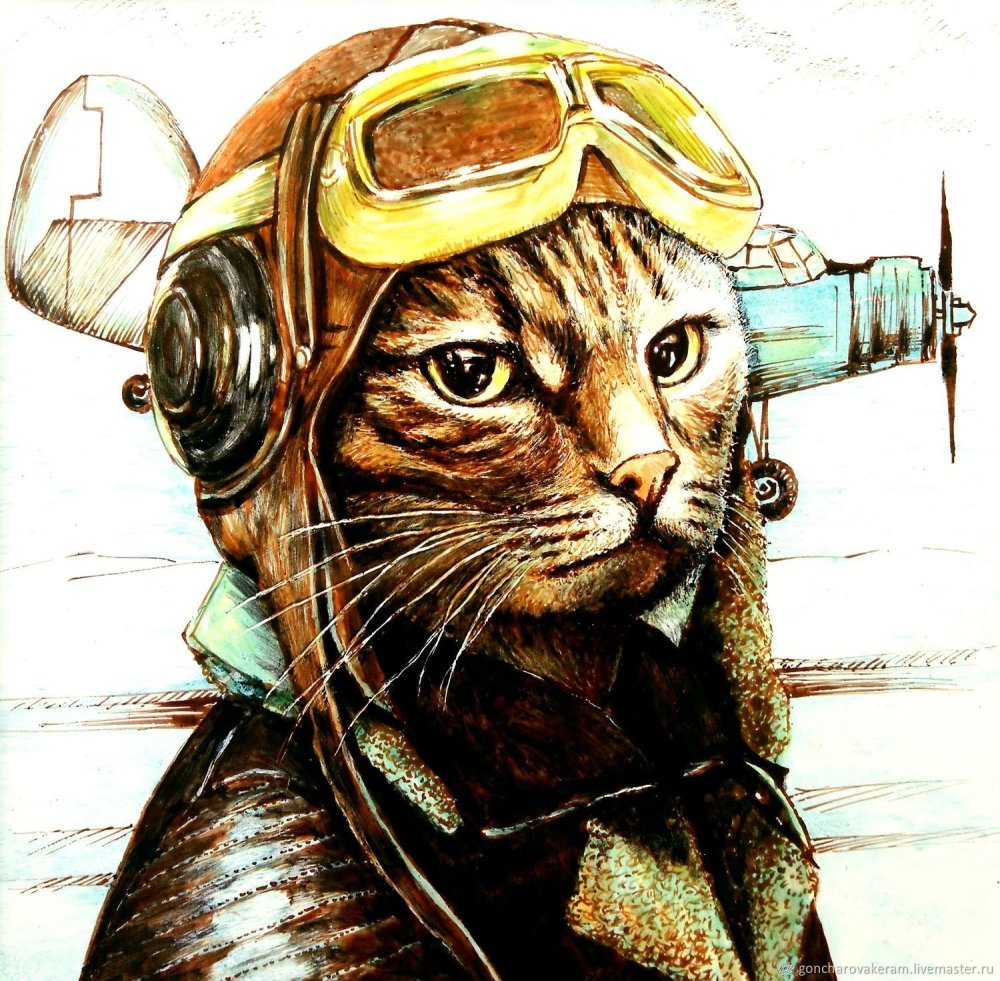 Кот пилот