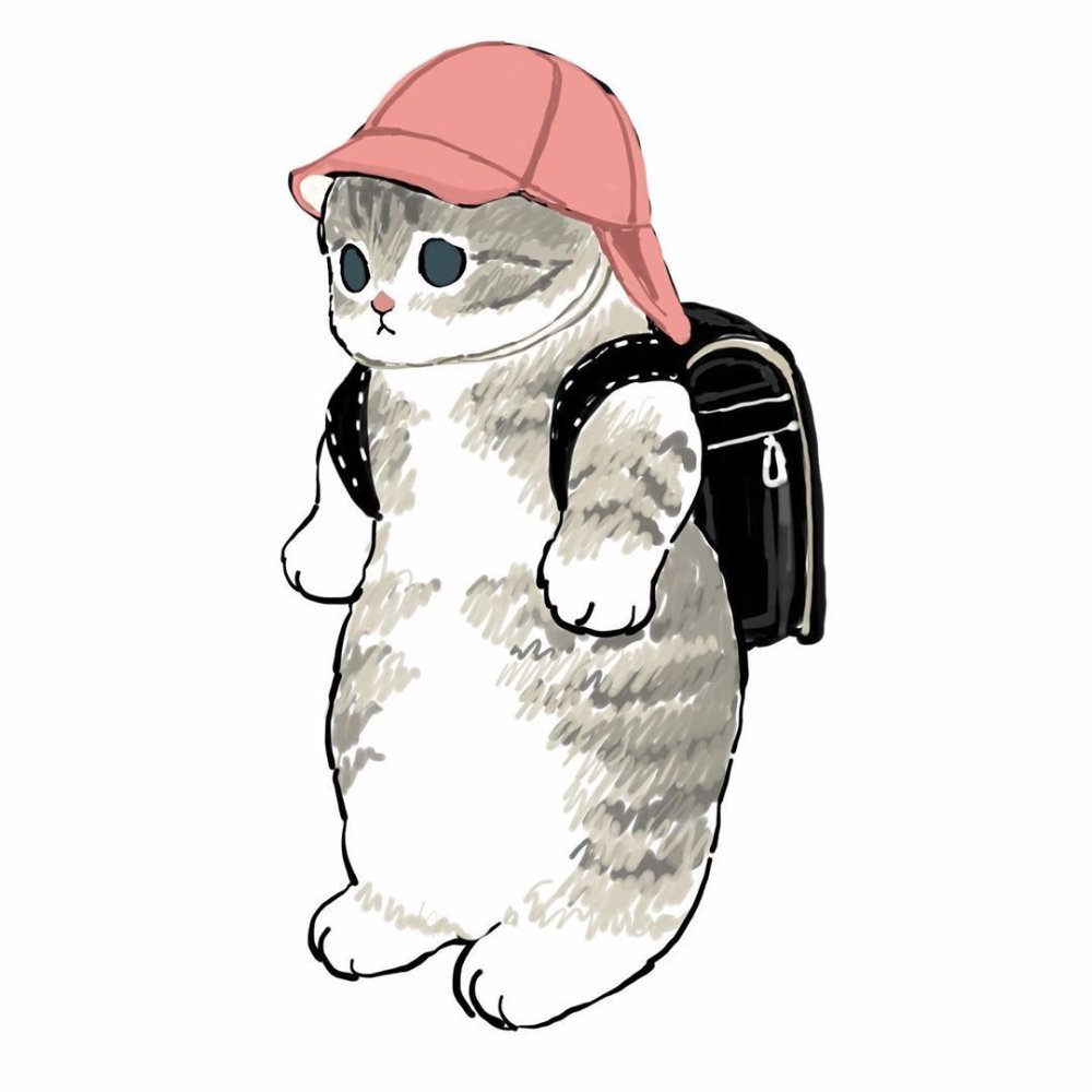 Кот в шарфе