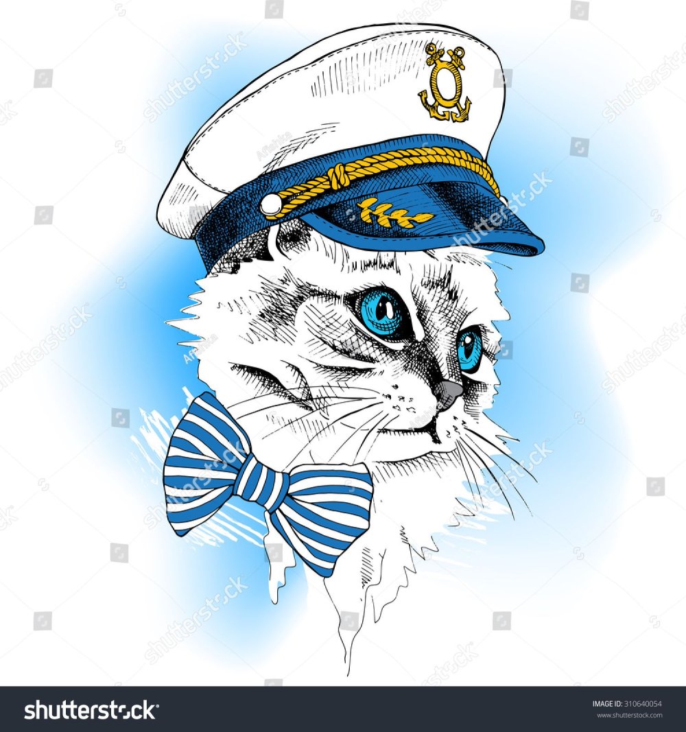 Фон для рабочего стола кот