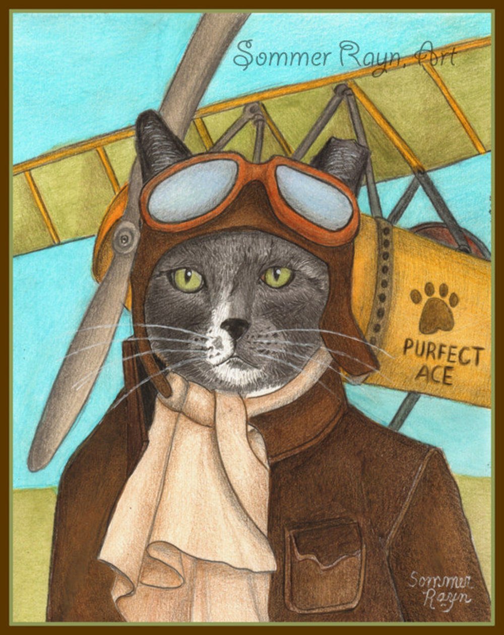 Кот морпех старкрафт