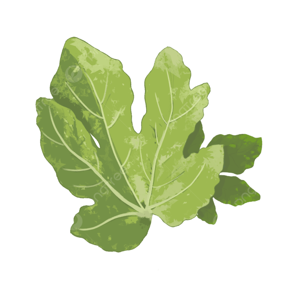 Фиговый листок фразеологизм