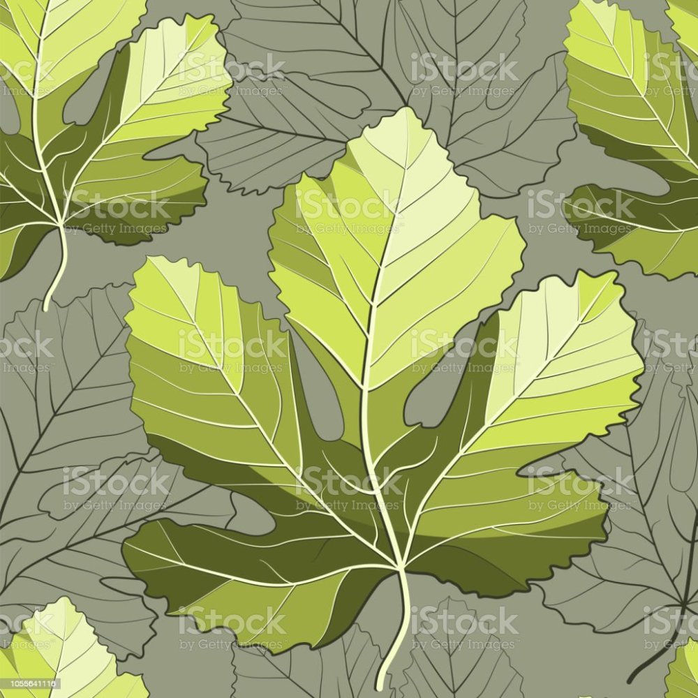 Смоковница листья Абрис