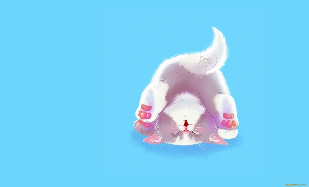 Котик на голубом фоне