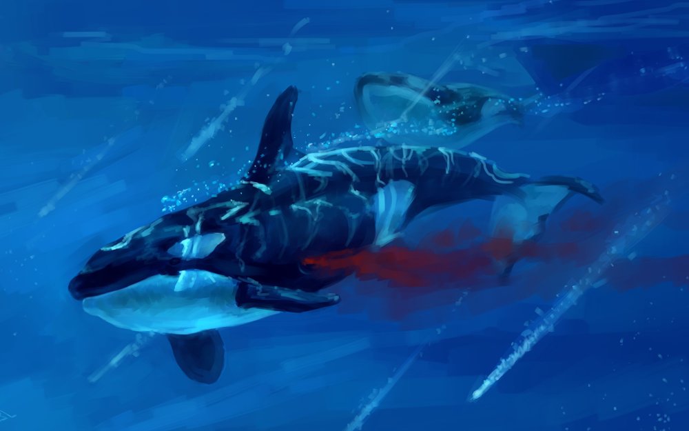 Хвост горбатого кита