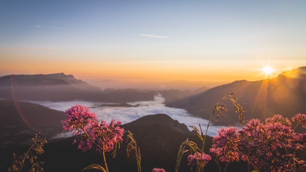 Рори Меркури 1920 1080