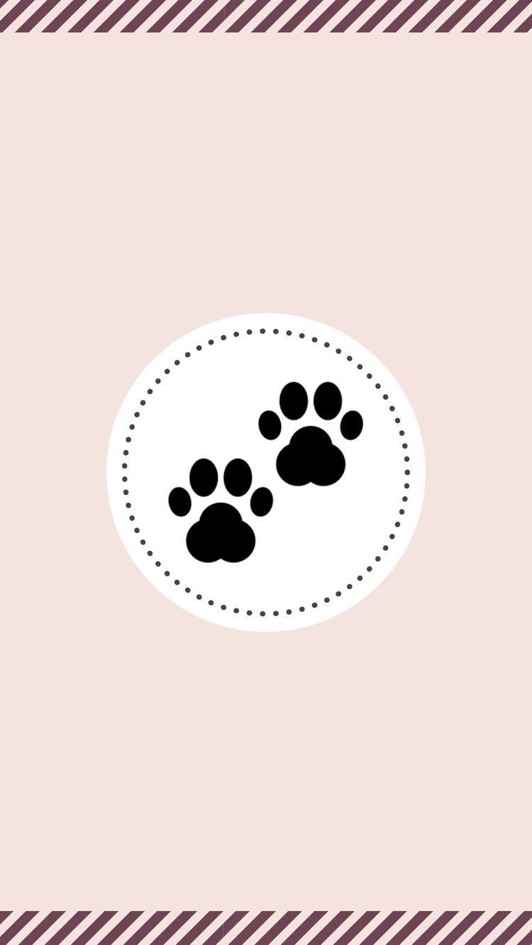 Милый фон с мопсами