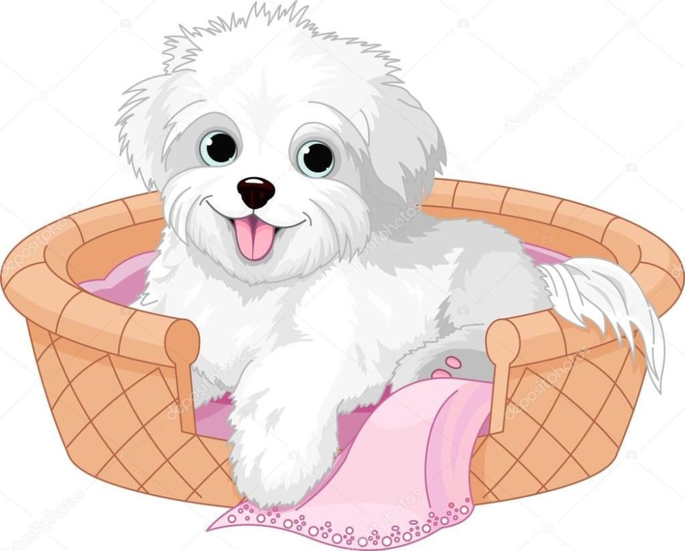 Иконки для инстаграмма собаки