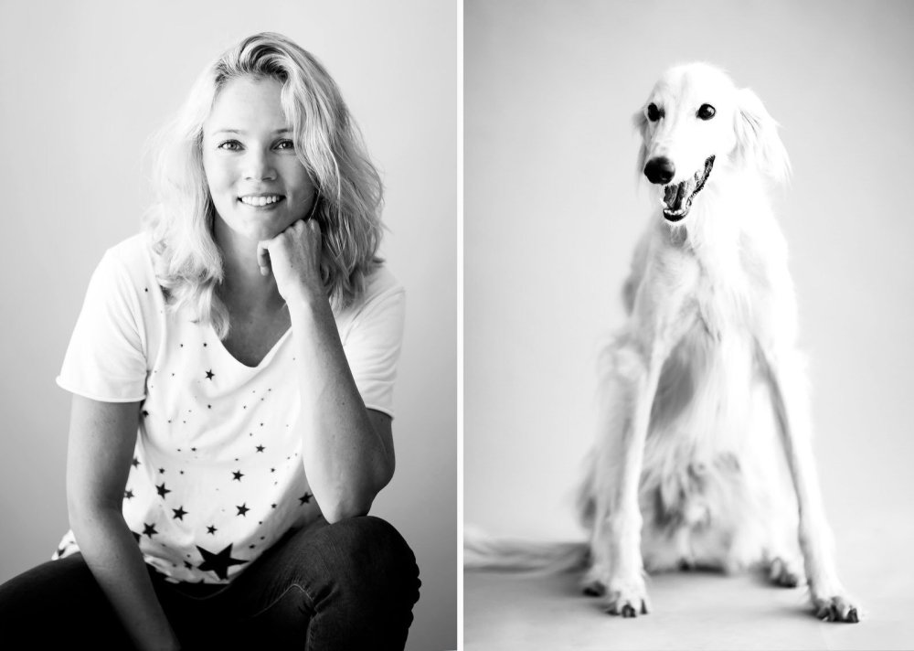 Собака Минимализм