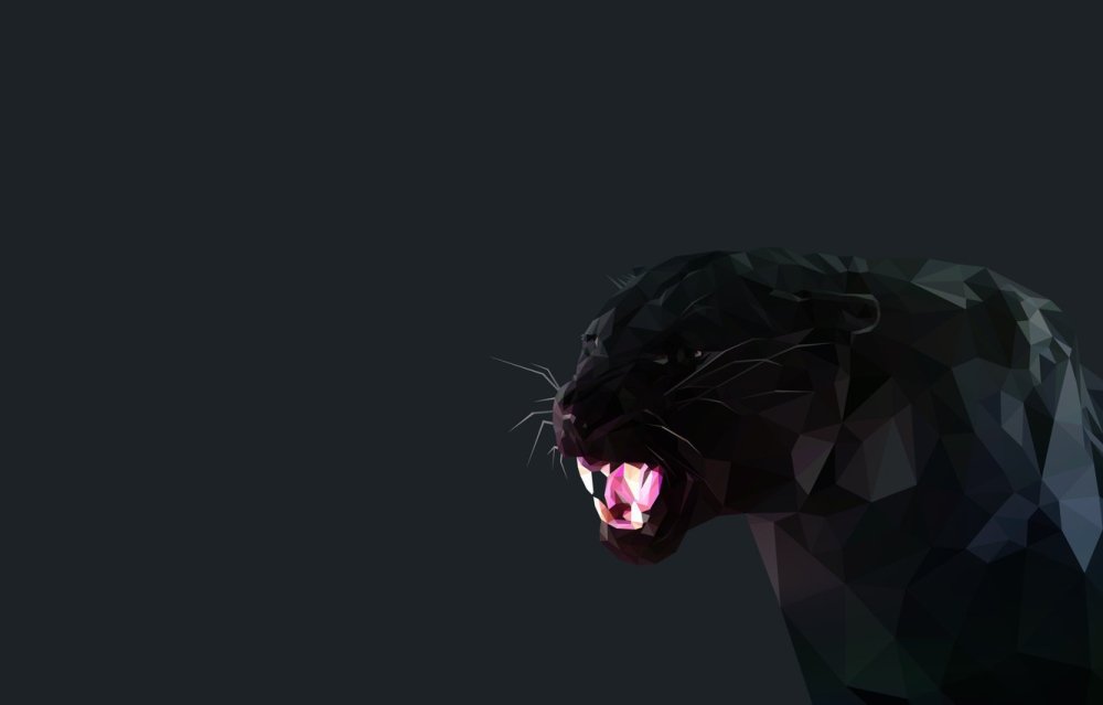 Пума пантера вид сбоку