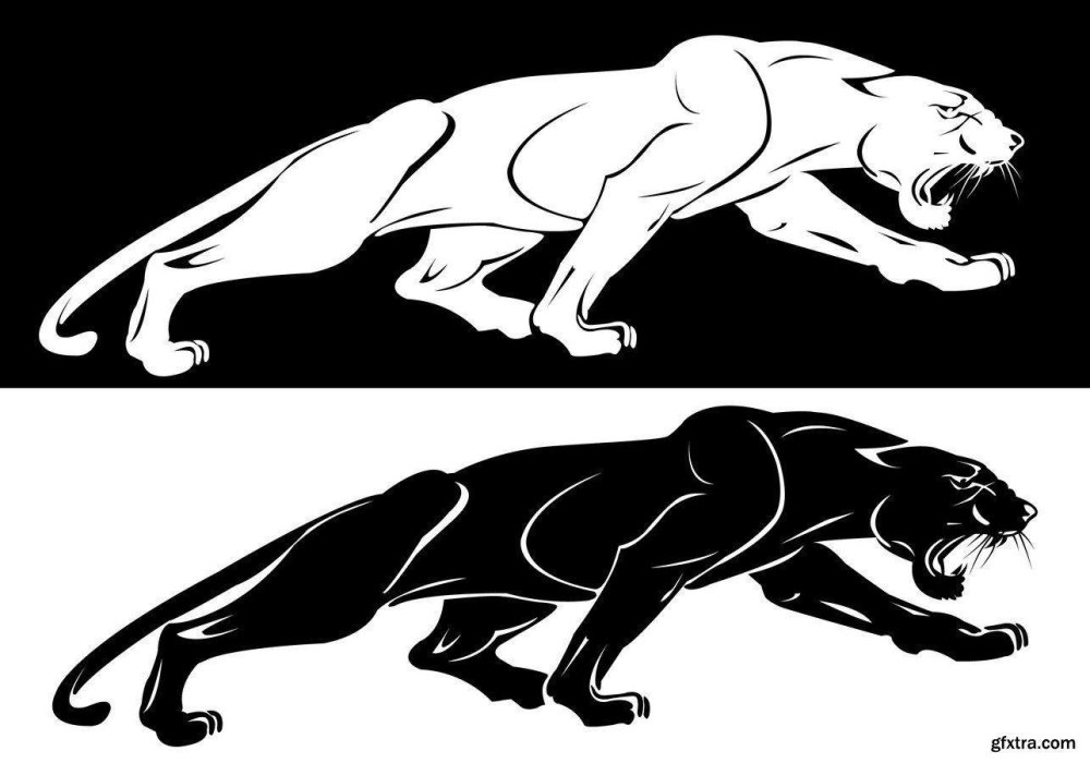 Пантера ивакта