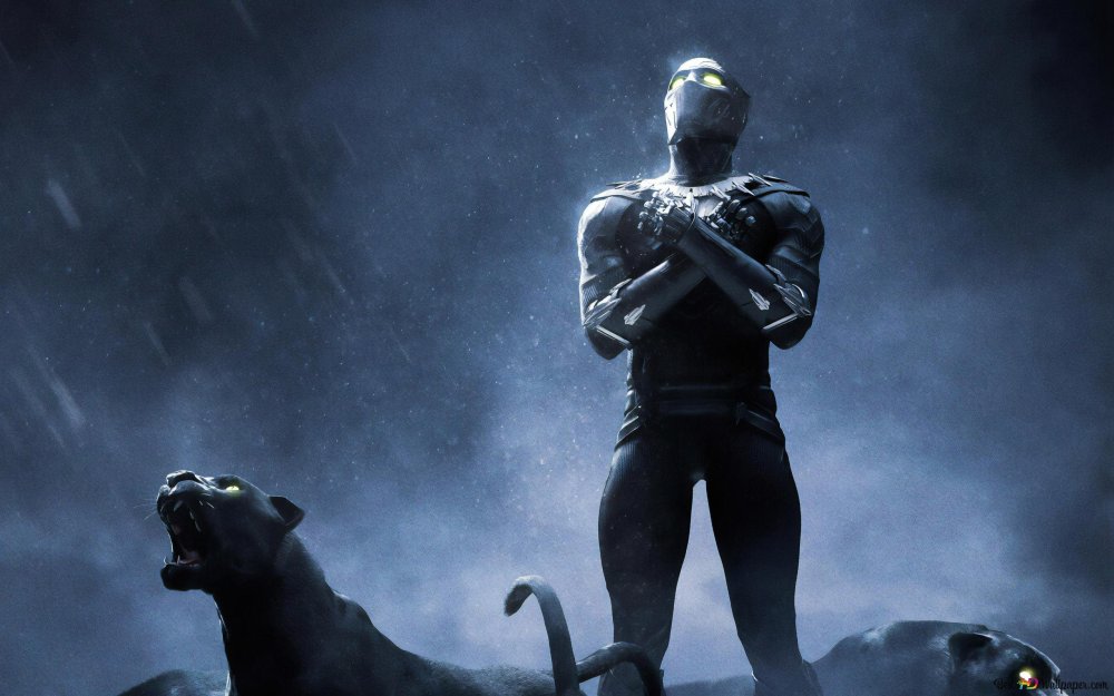 Пантера на черном фоне