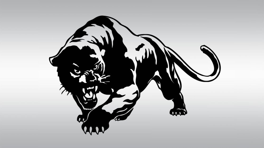 Черная пантера Ягуар и леопард