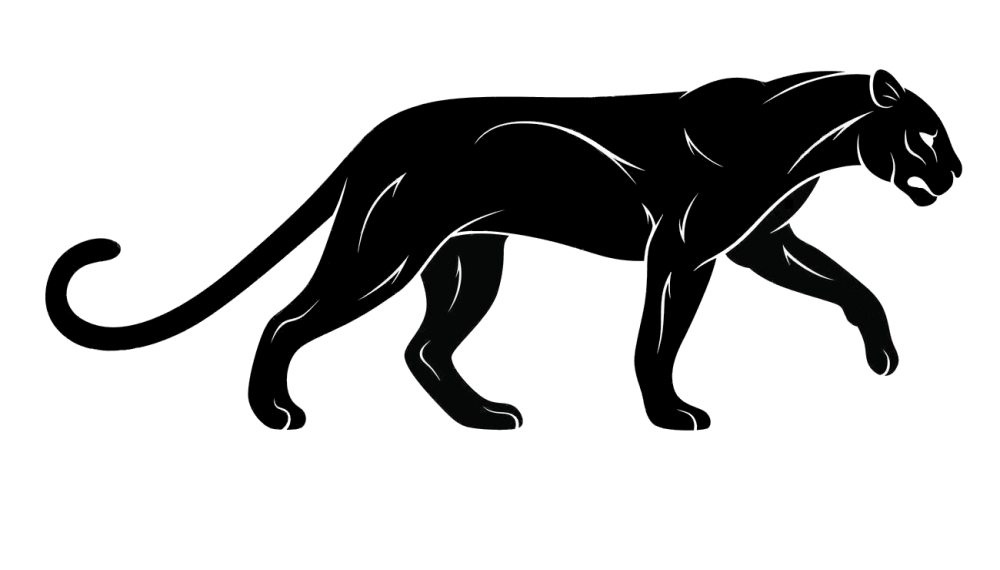 Обои на телефон высокого качества Лев на черном фоне