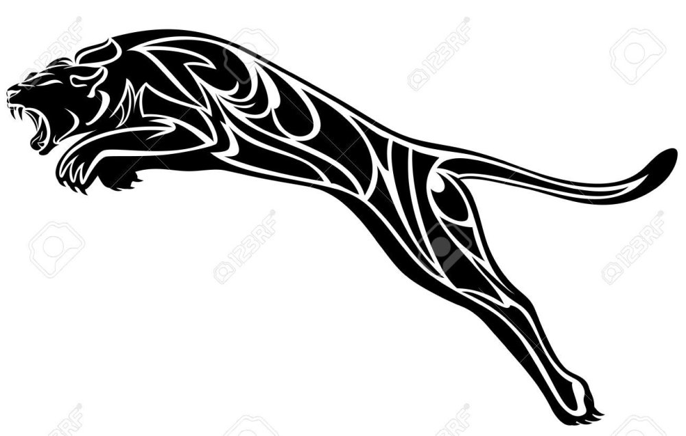 Животные на черном фоне