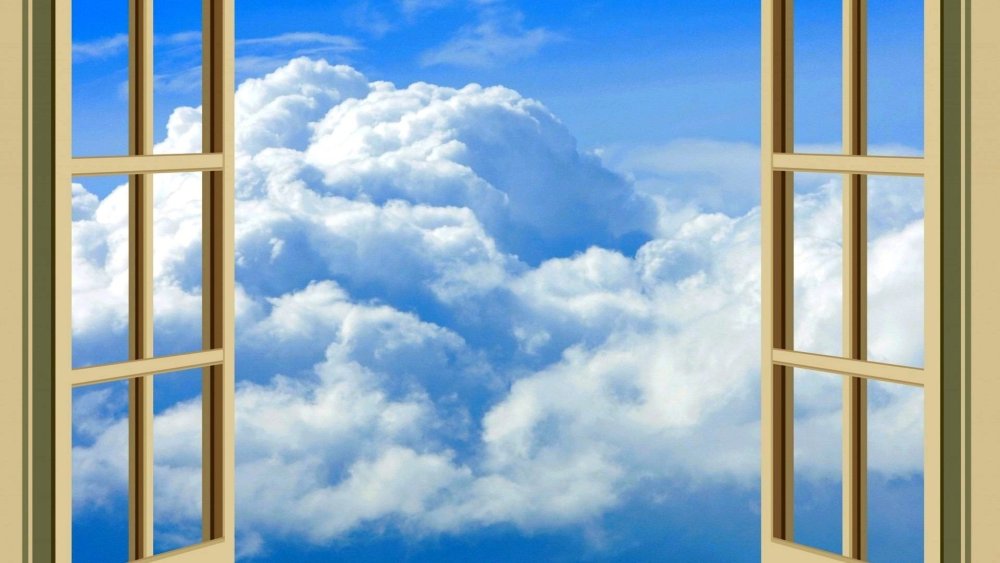 Окно в сад вечером